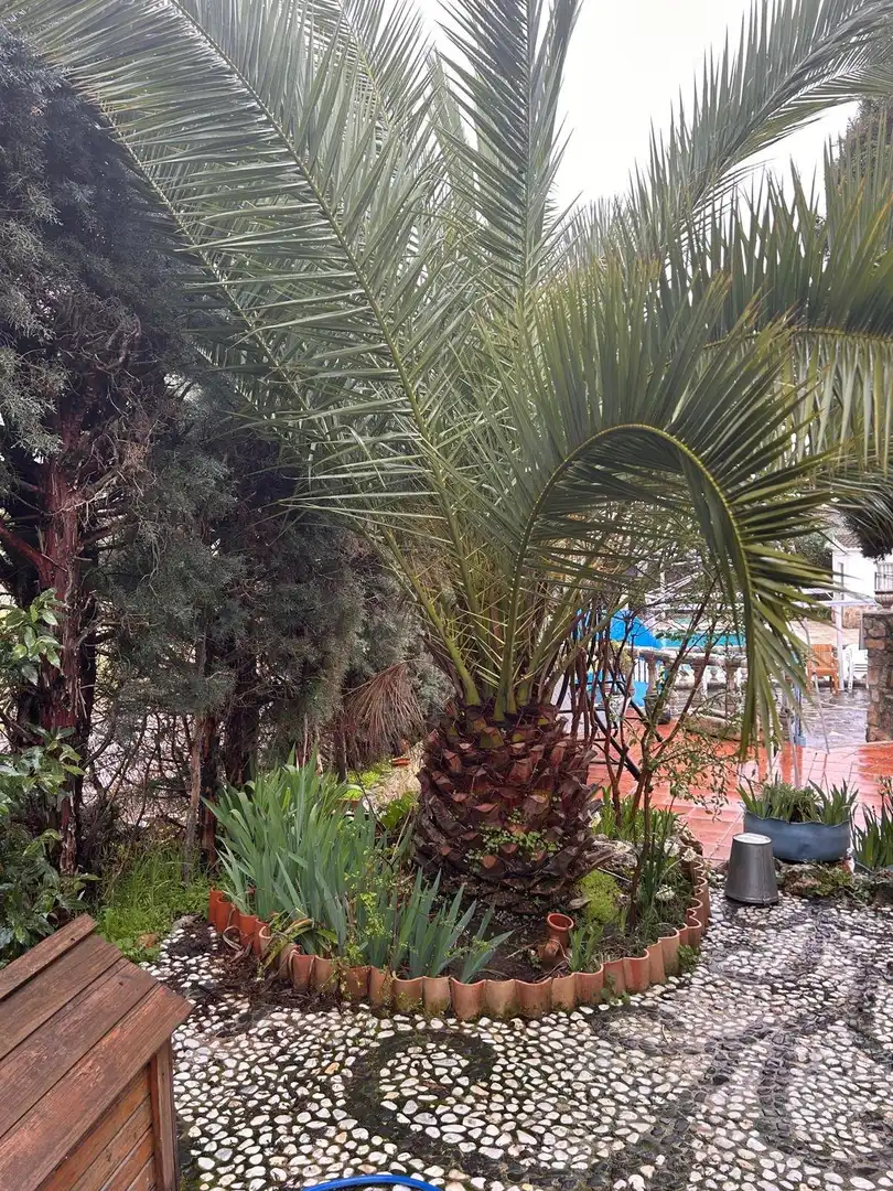 Garden of Houses for sale in Uceda  with Heating, Private garden and Terrace