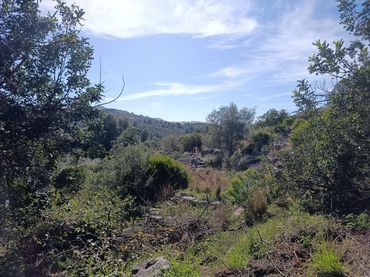 Terreno residencial en venta en El Ràfol d'Almúnia