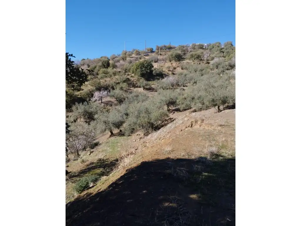 Casa o chalet en venta en Riogordo
