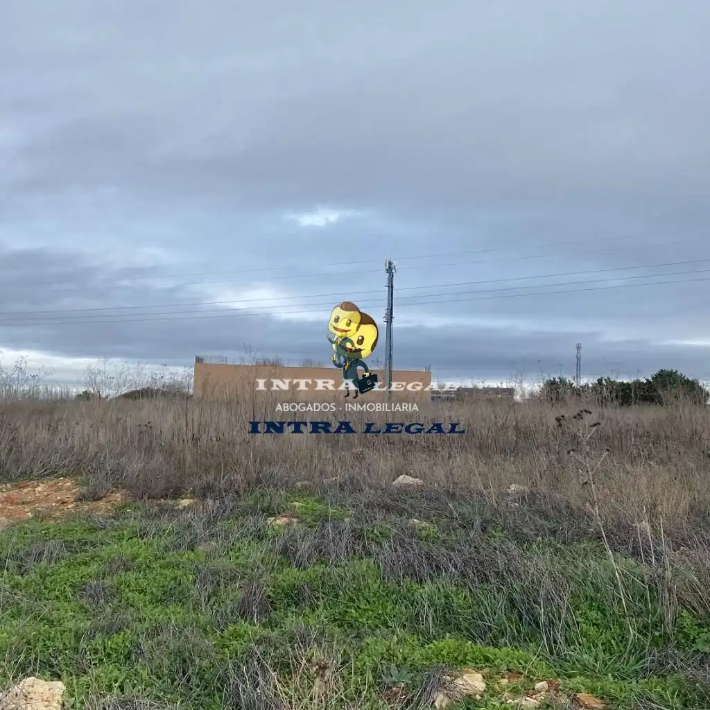 Vista exterior de Terreno en venta en Ledesma
