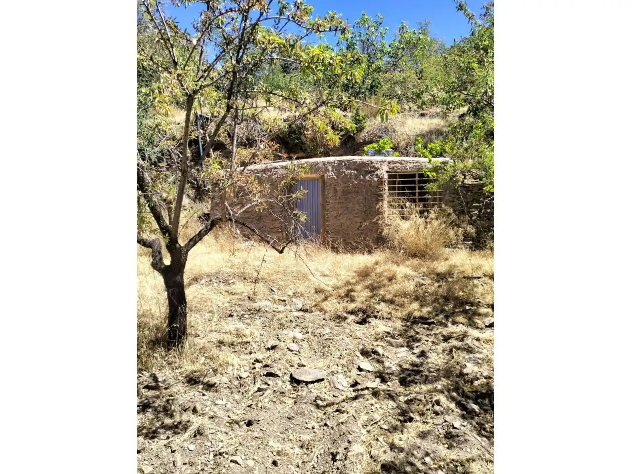 Terreny rústic en venda a Paterna del Río, imagen 3