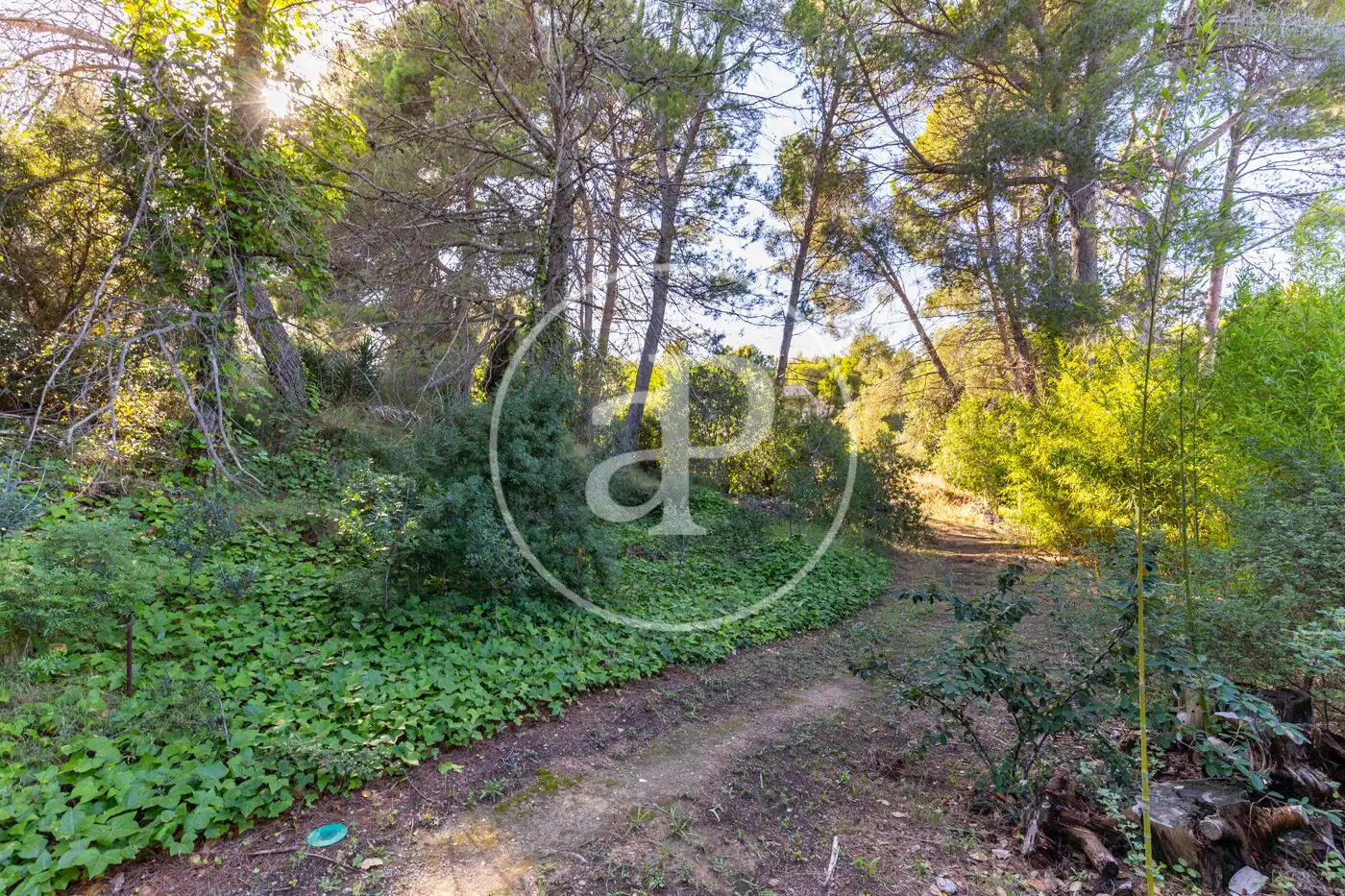 Terreno residenziale in vendita a Bellaterra, imagen 6