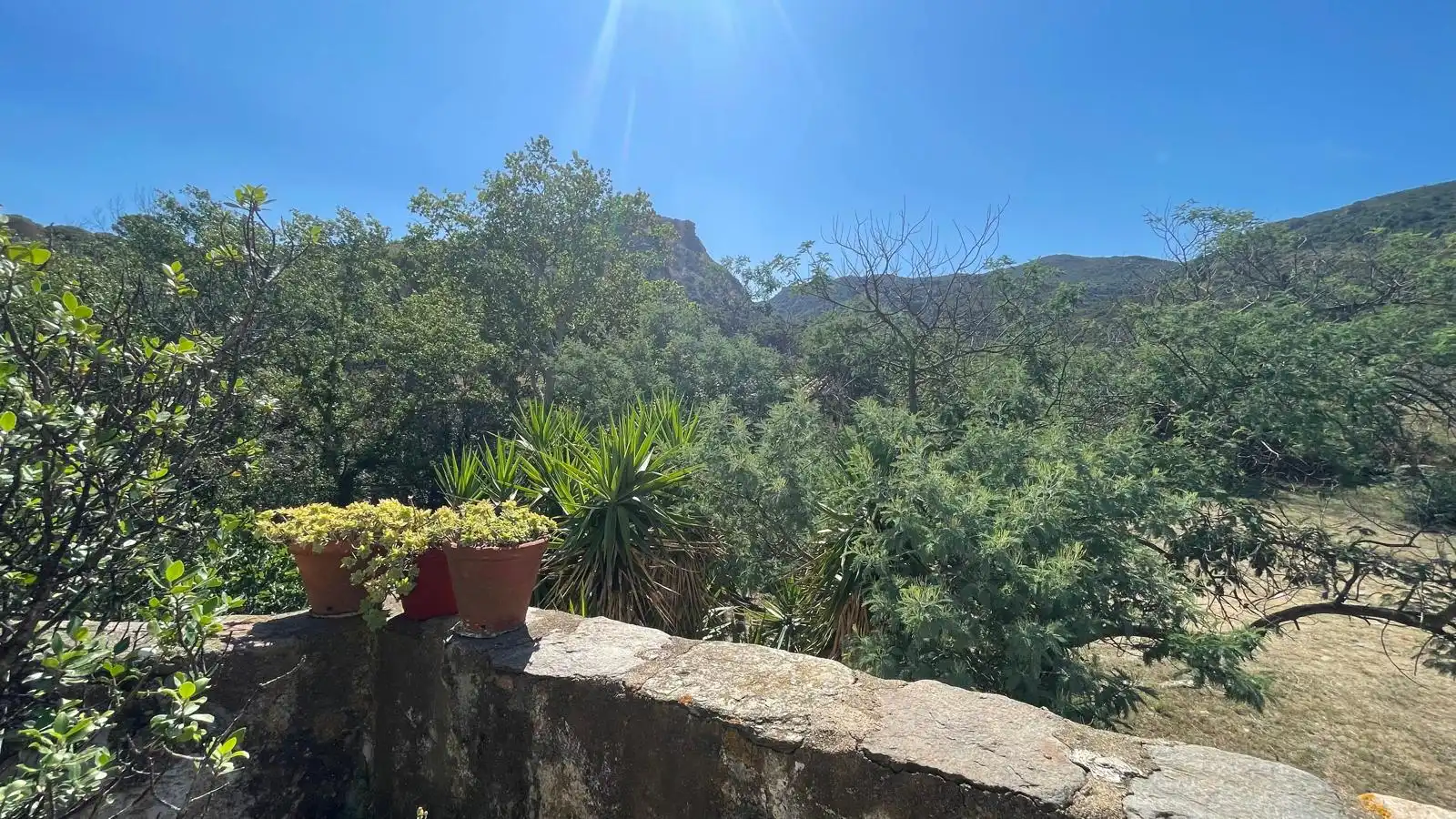 Jardín de Finca rústica en venta en Vilajuïga con Terraza, Trastero y Balcón