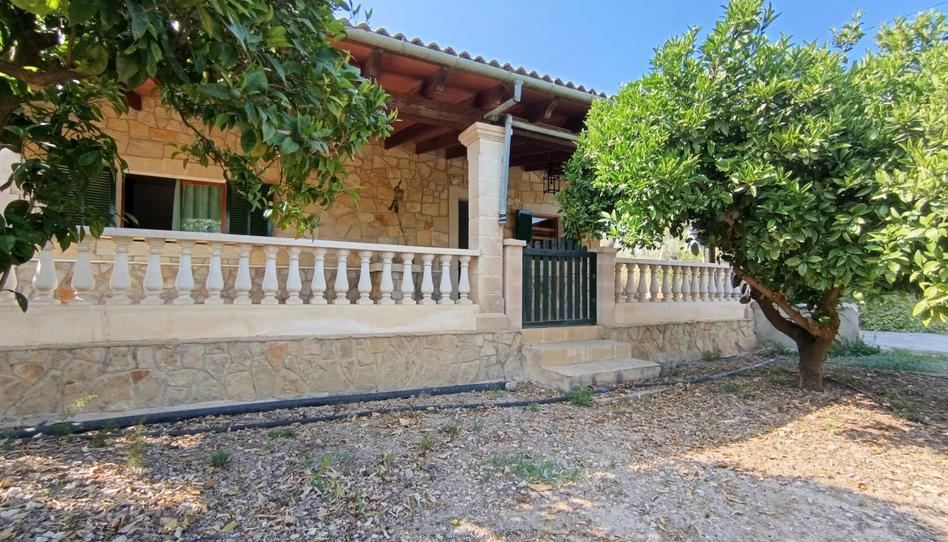 Photo 1 of House or chalet for sale in Camino Camí Des Raiguer, Binissalem, Illes Balears