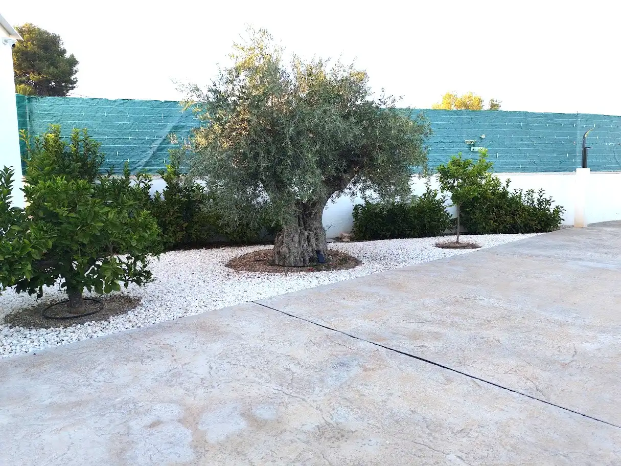 Vista exterior de Casa o chalet en venta en Elche / Elx con Aire acondicionado, Calefacción y Jardín privado