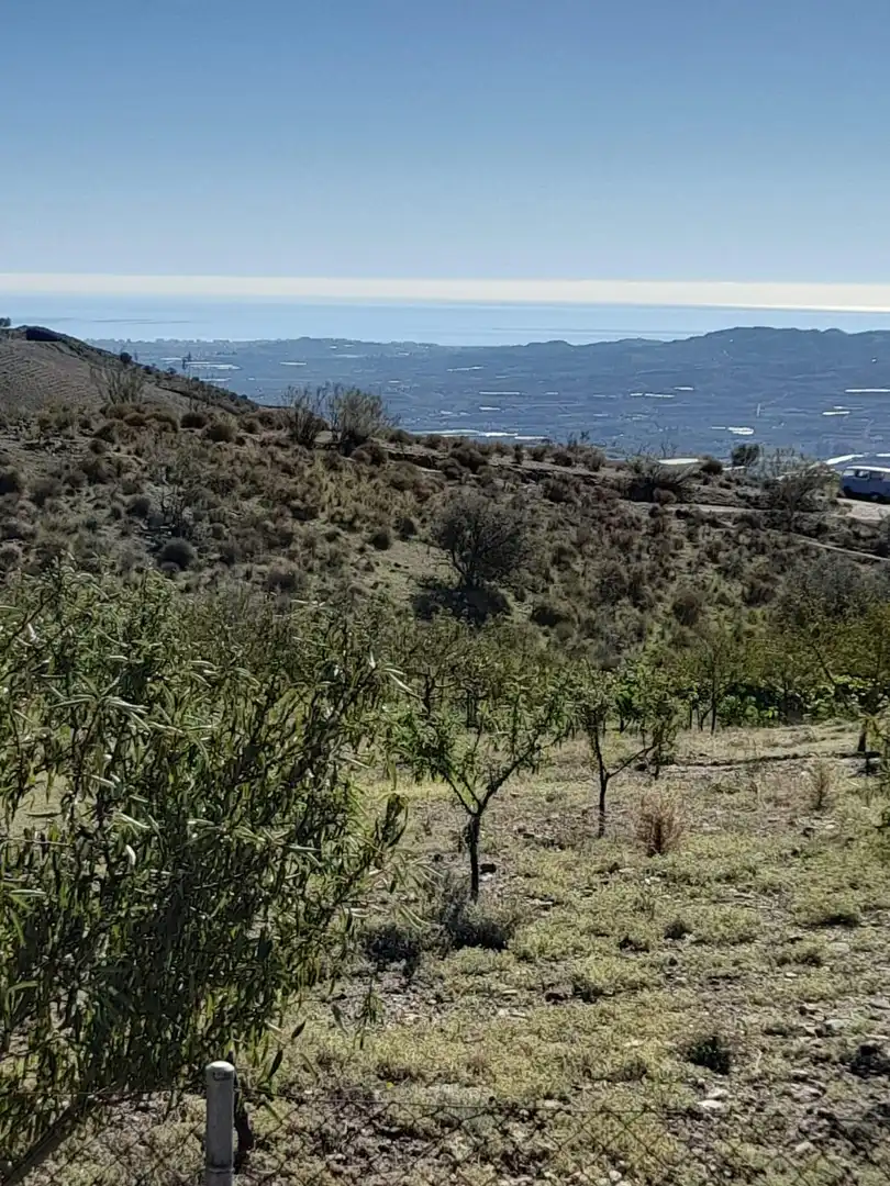 Casa o xalet en venda a N/A, Norte - Barrio del Pilar - El Reñidero