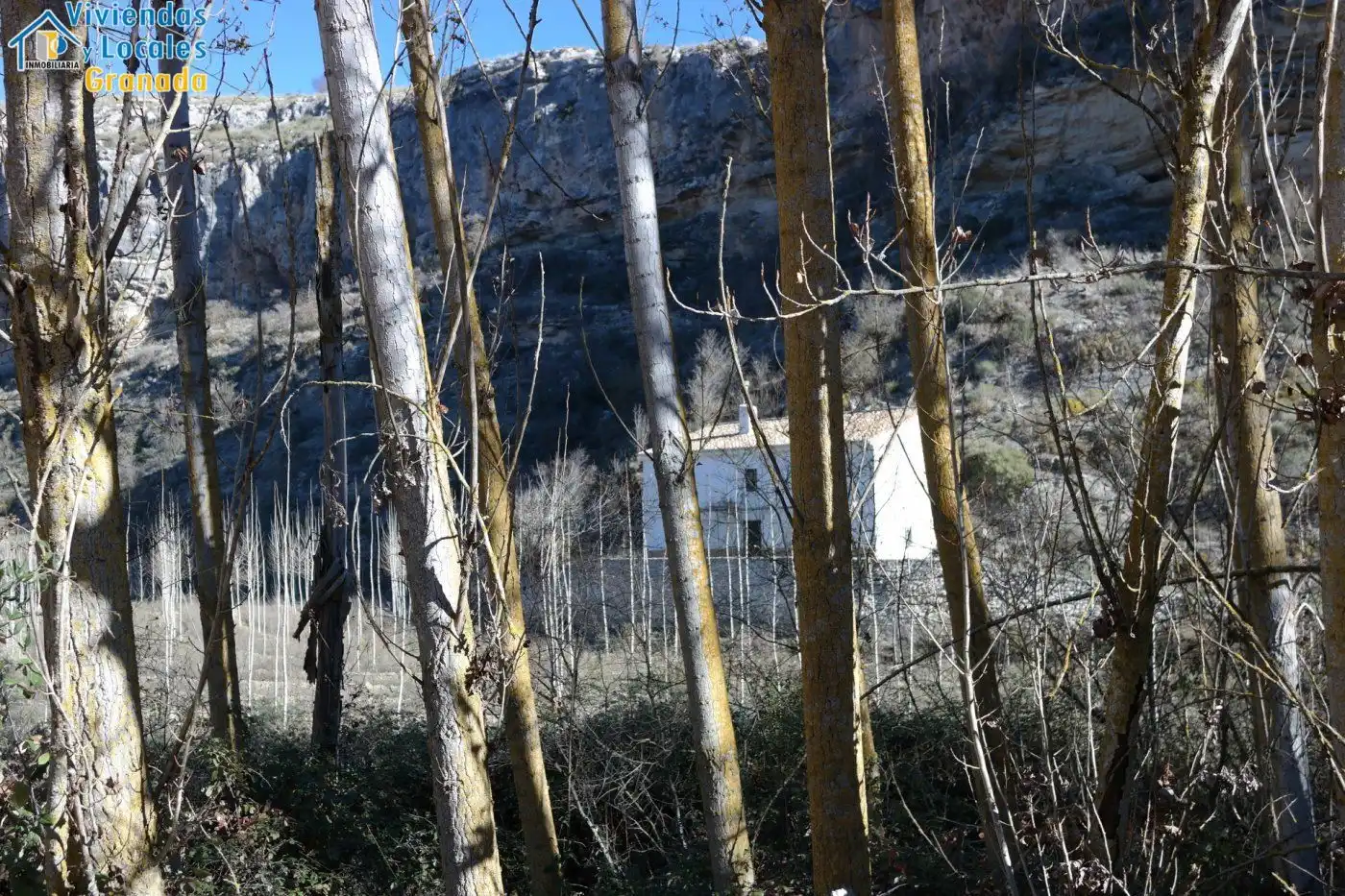 Terreni e lotti in vendita a Alhama de Granada, imagen 37