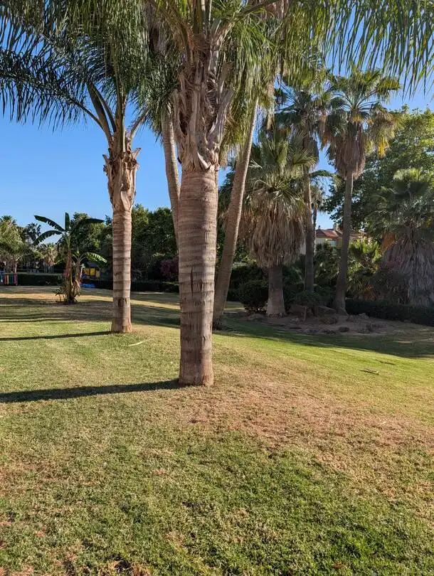 Jardín de Casa adosada de alquiler en La Línea de la Concepción con Aire acondicionado, Calefacción y Jardín privado