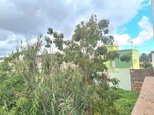 Foto 3 de Residencial en venda a Calle Capricornio, Gracia, Santa Cruz de Tenerife