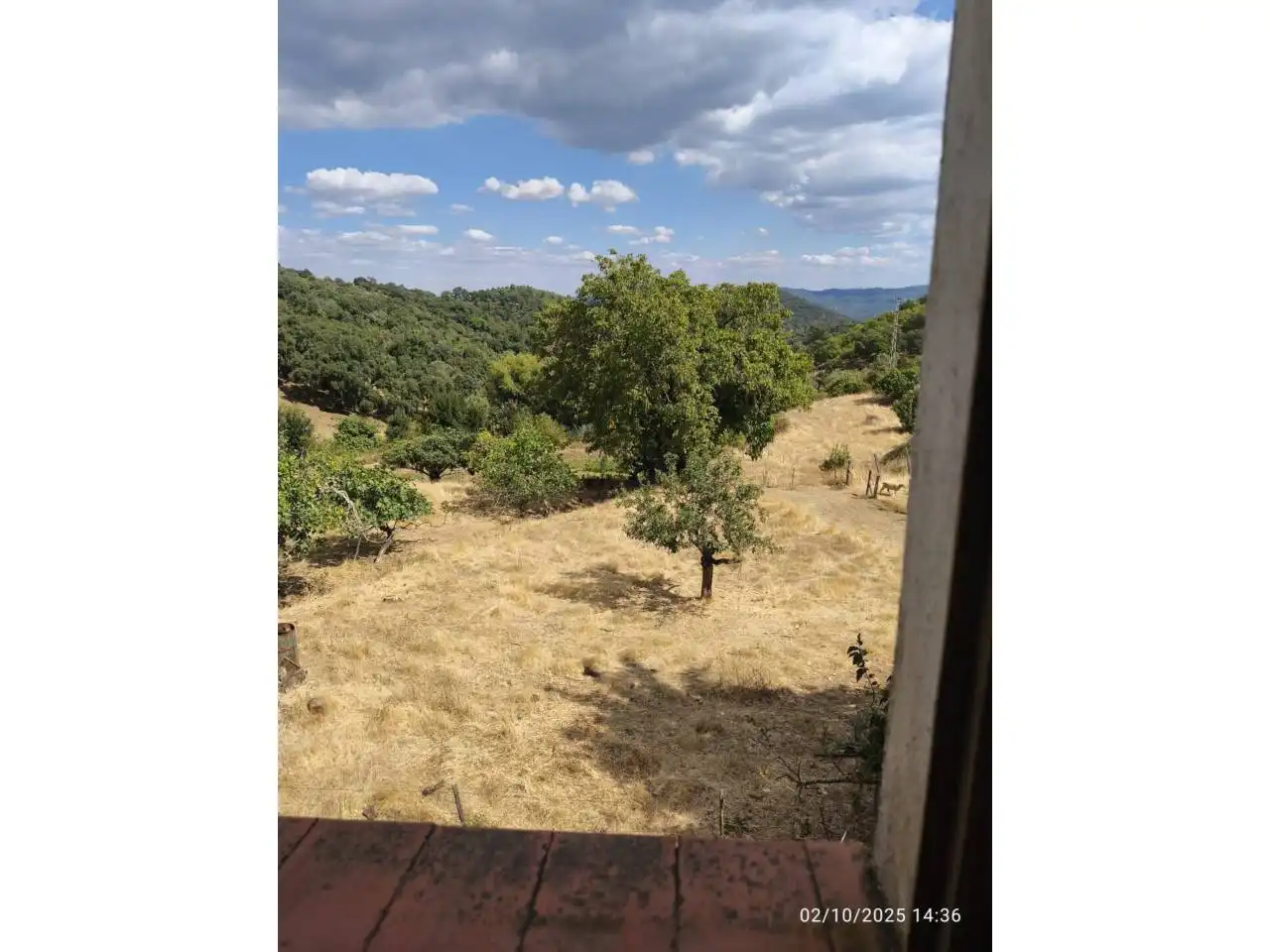Land for sale in Calle Manuel León, Cortegana