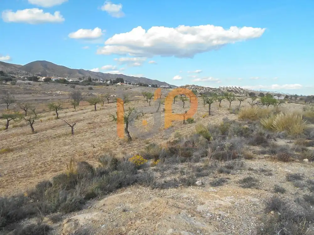 Rural land for sale in Puerto Lumbreras, imagen 6