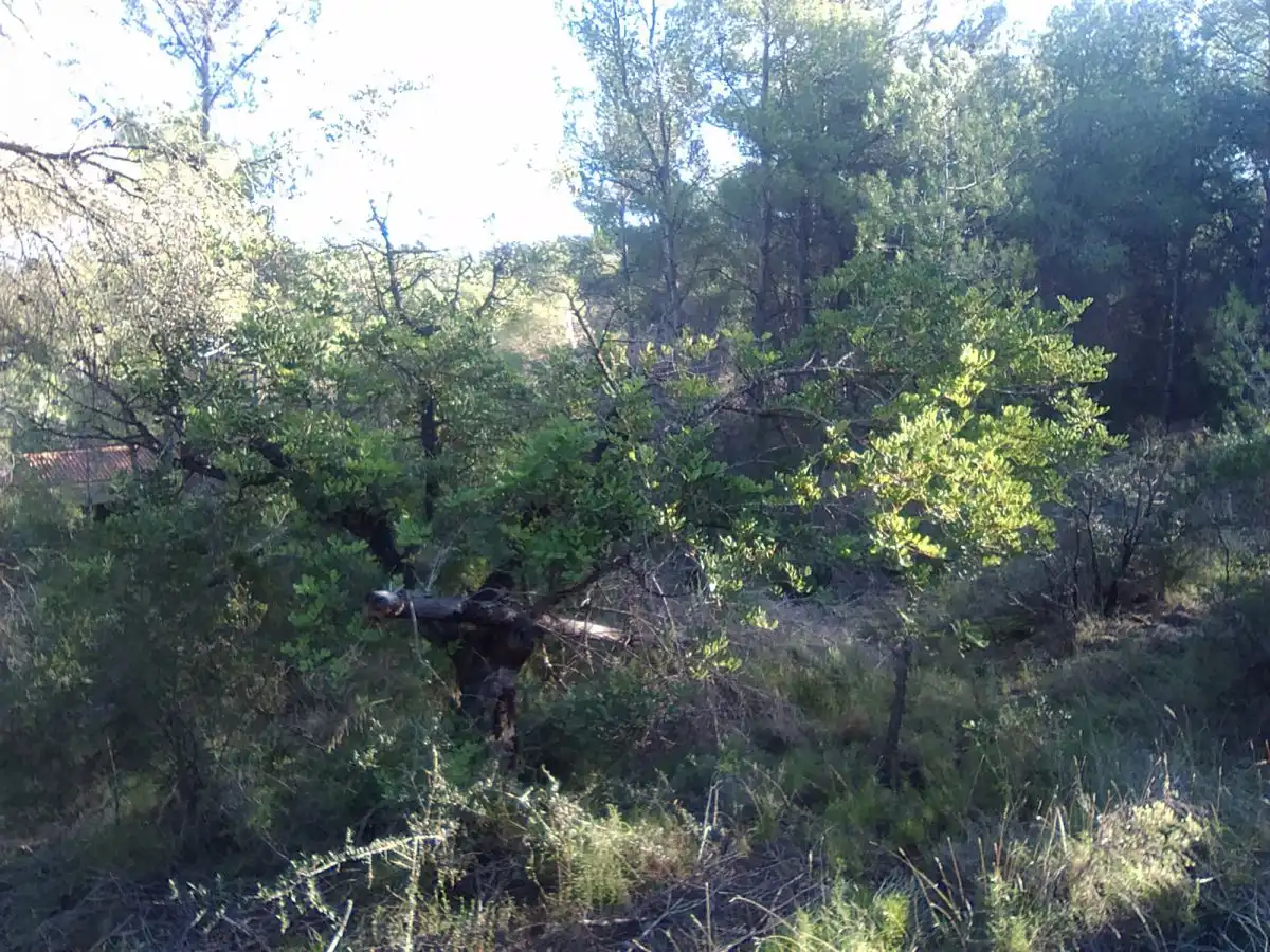 Terrenys i solars en venda a Estivella, imagen 7