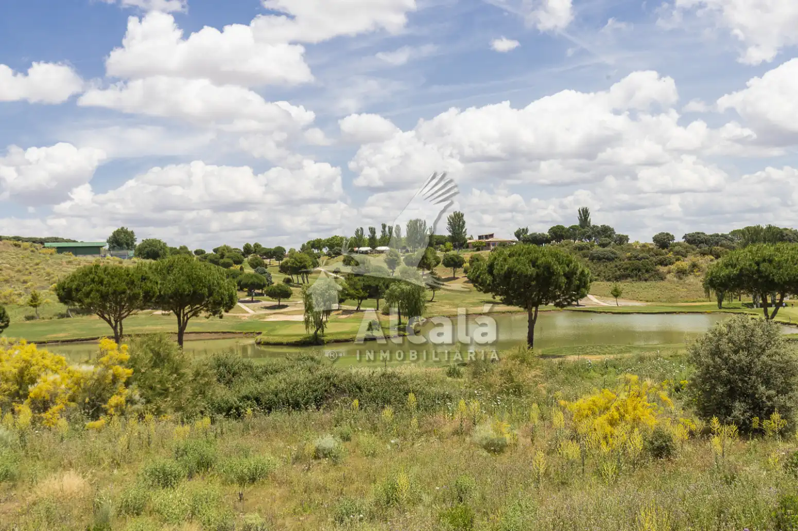 Terreny rústic en venda a Cabanillas del Campo, imagen 14