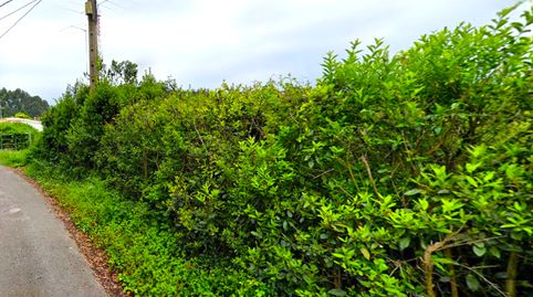 Foto 4 de Residencial en venta en De la Coria, Bernueces, Gijón