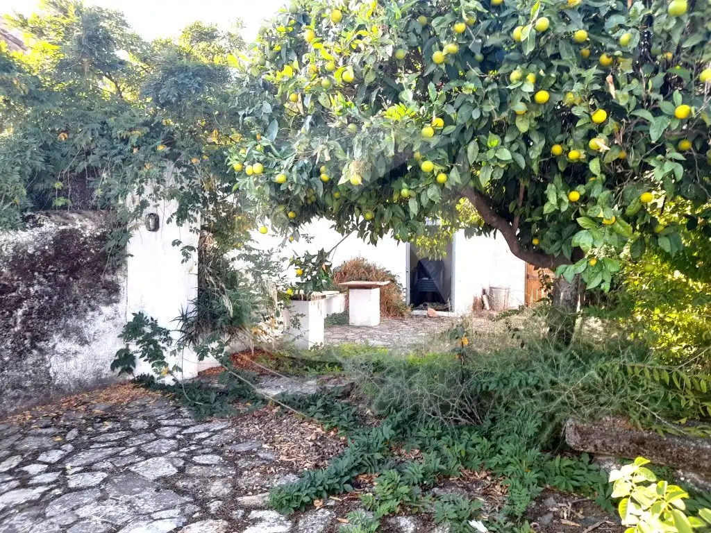 Houses for sale in Calle Puerta Valencia, Alburquerque