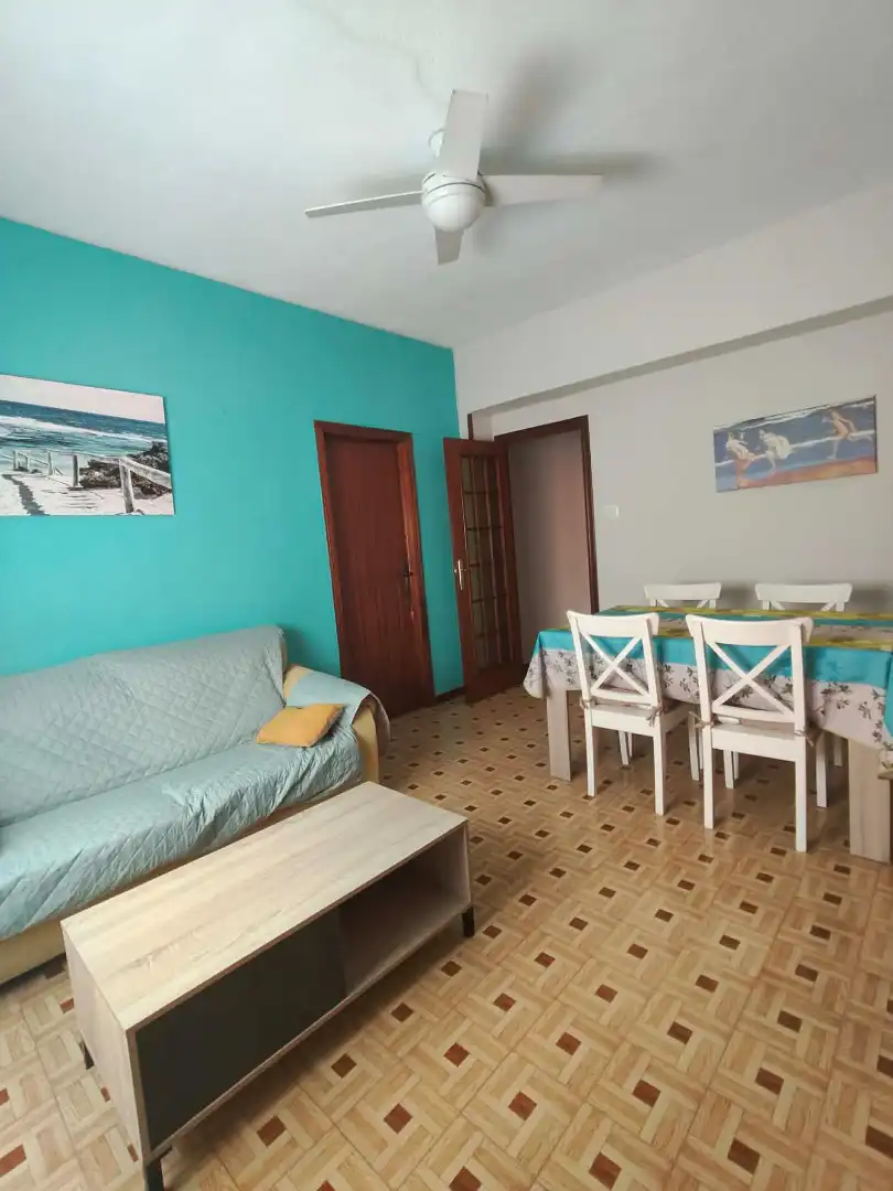 Living room of Flat for share in Alicante / Alacant  with Terrace, Furnished and Balcony
