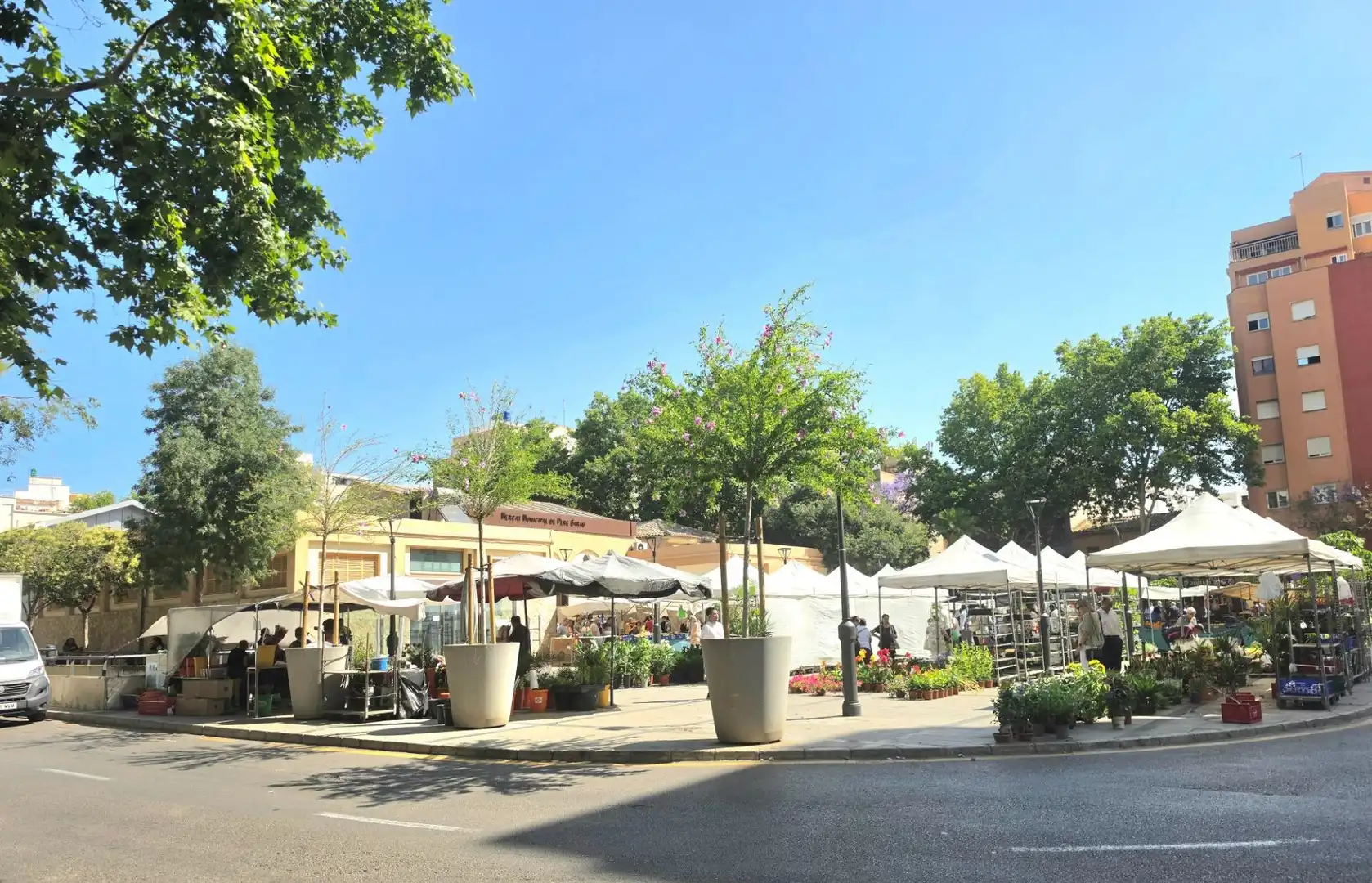 Vista exterior de Pis en venda en  Palma de Mallorca amb Aire condicionat, Calefacció i Moblat