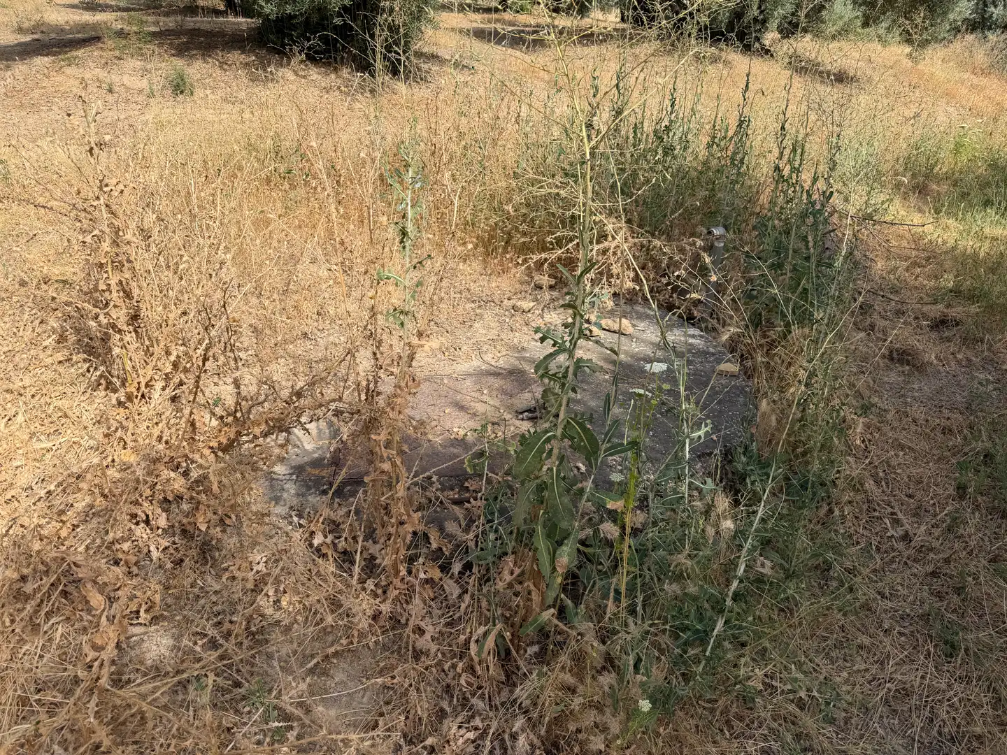 Terrenos y solares en venta en Carretera de Circunvalación 55D, imagen 6