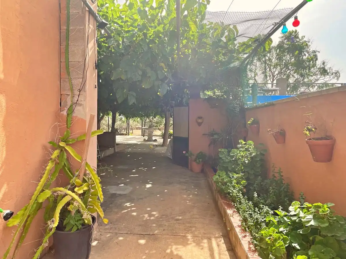 Jardí de Casa o xalet en venda en Xerta amb Terrassa