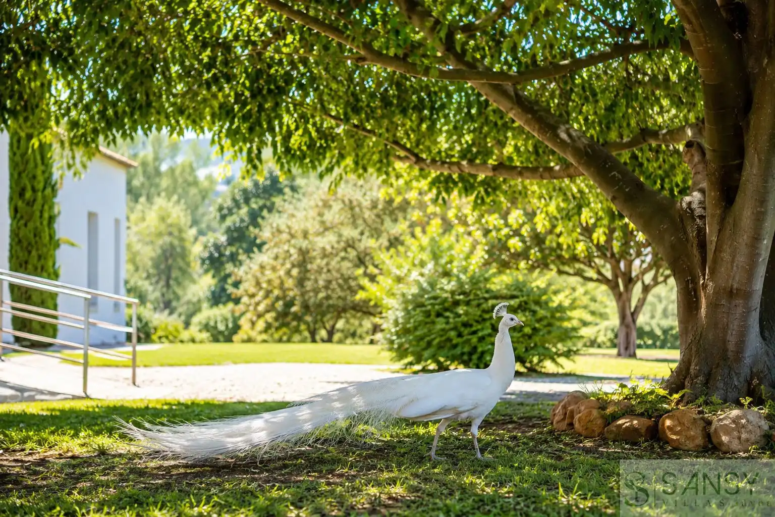 Villa mit Pool zum Verkauf in Ondara, imagen 9