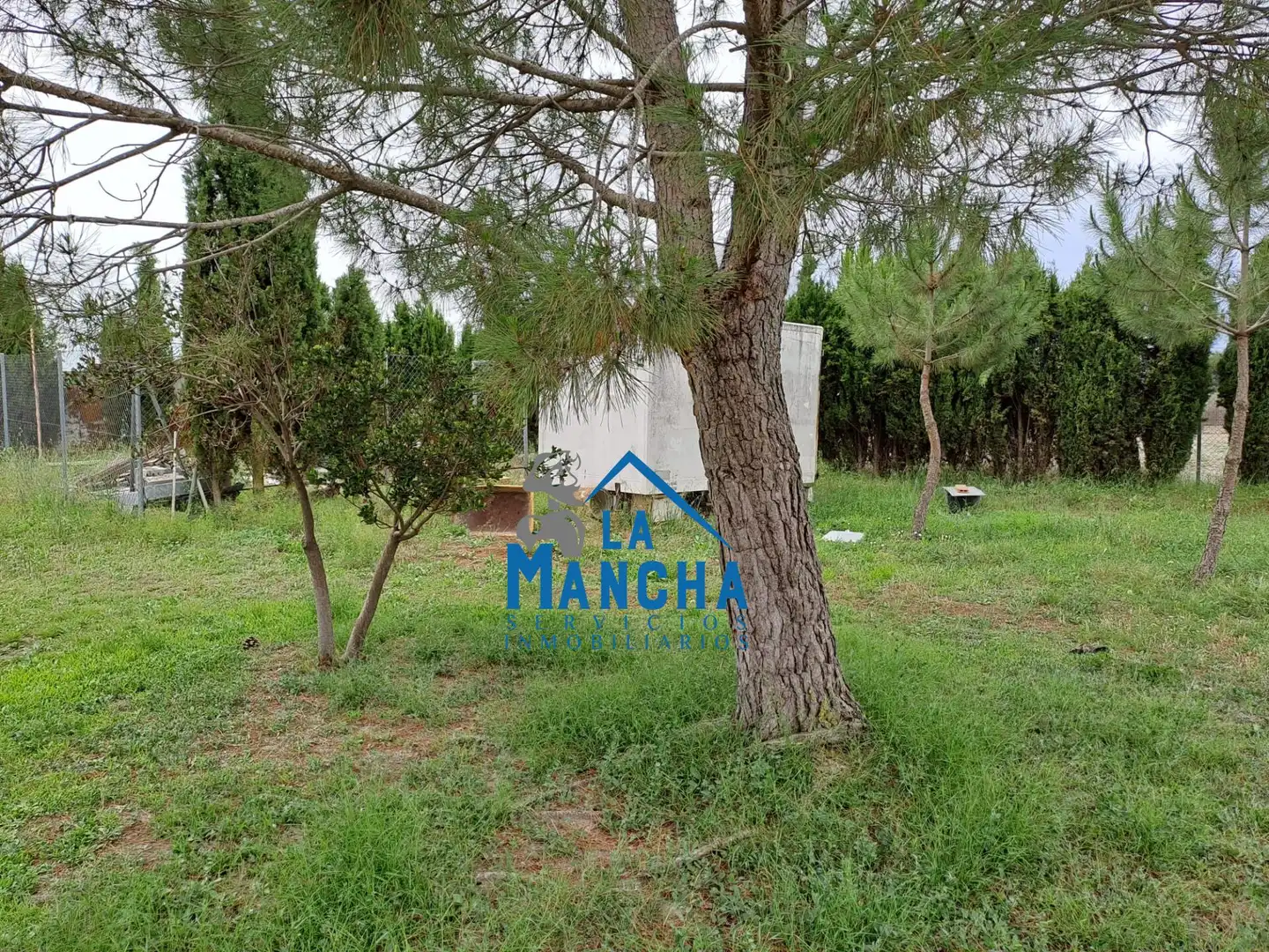 Terreno rustico in vendita a Polígono 68 Paraje 136 CASICA OREA, imagen 6