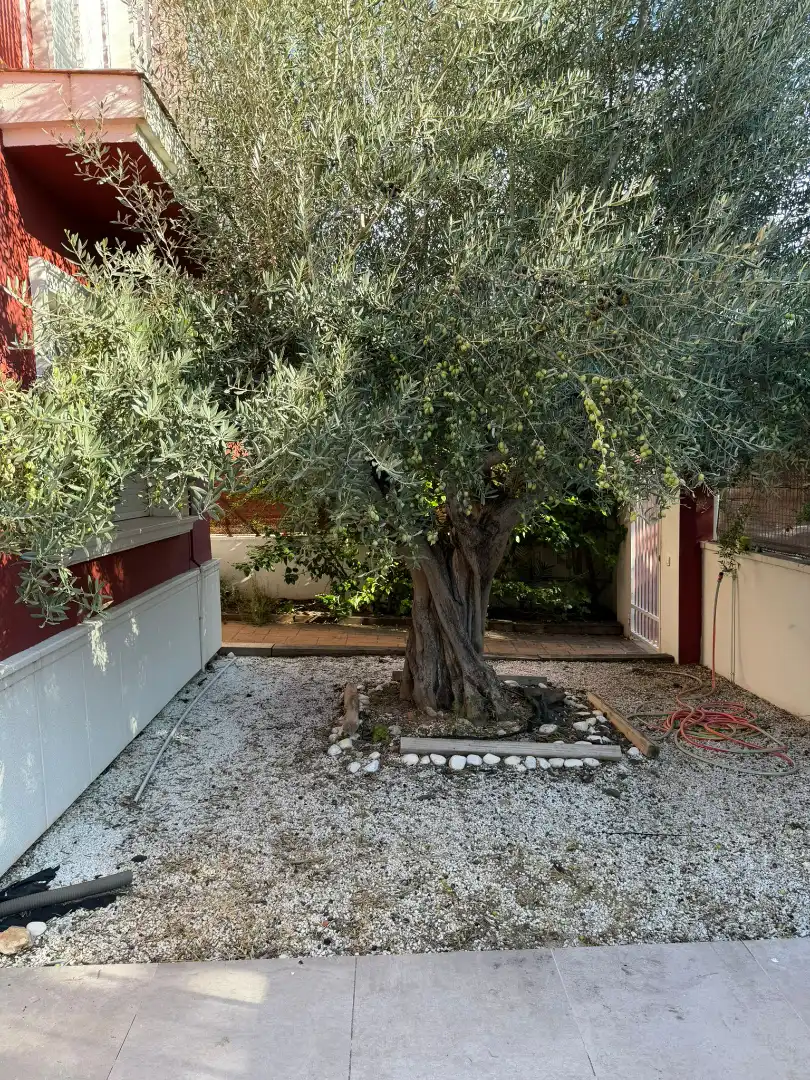 Detached homes for rent in Riba-roja de Túria