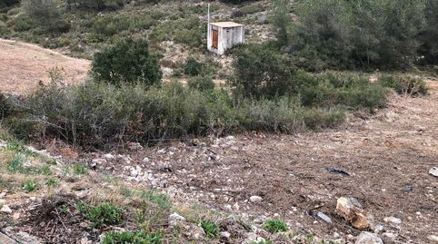 4 Terrenos en venta  de 400 mt cada uno se pueden vender individual o por unidades total de metros 1600 m2, immagine 3