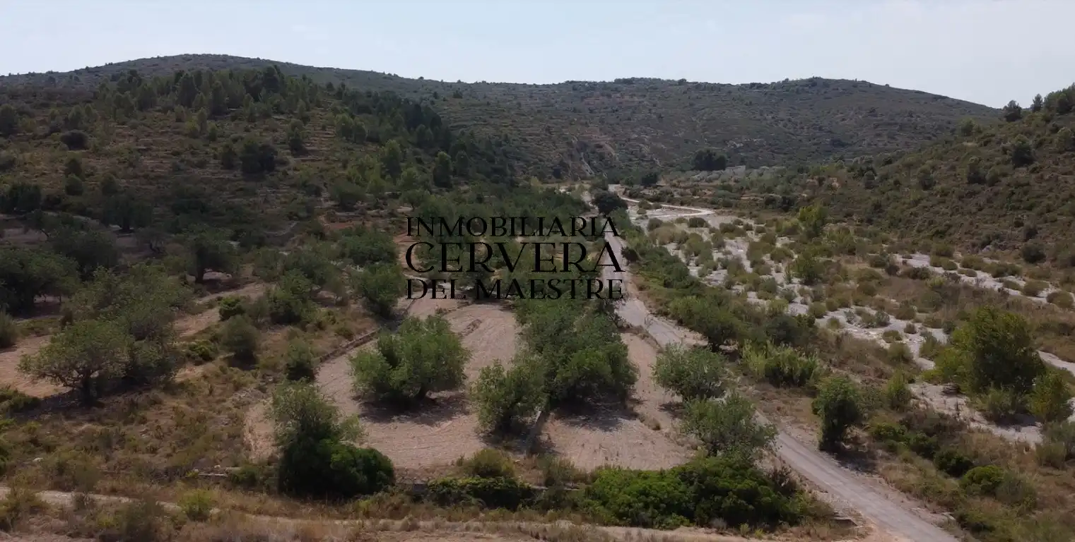 Terreno rustico in vendita a Cervera del Maestre, imagen 16