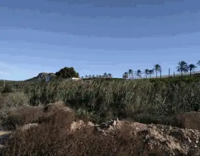 Terreno rústico en venta en Partida La Torreta, imagen 6