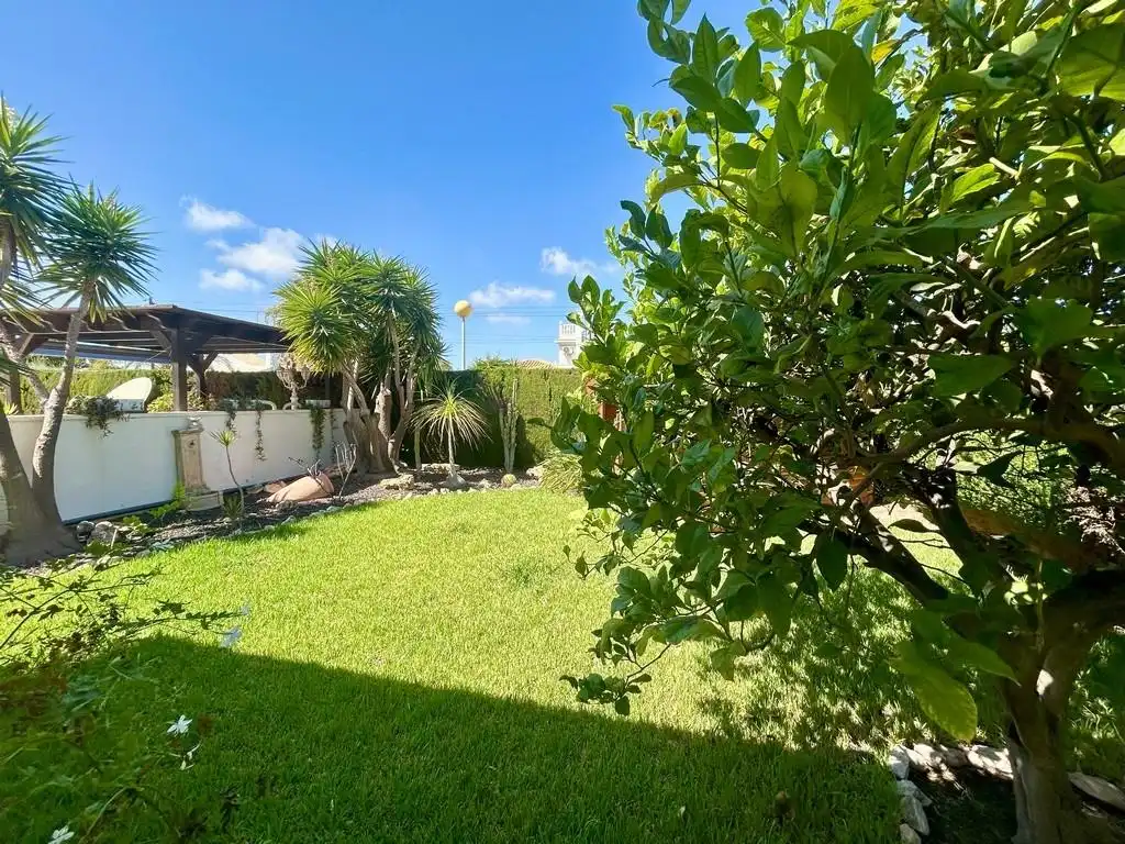 Jardí de Casa o xalet en venda en Orihuela amb Piscina