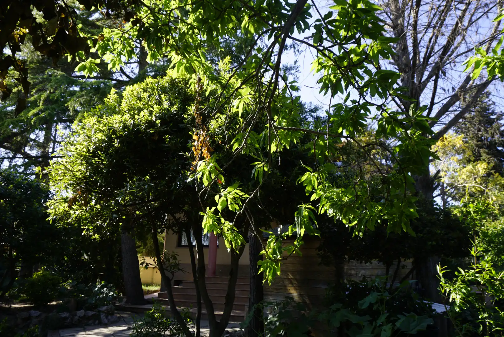 Villa avec piscine à vendre à Collbató, imagen 78