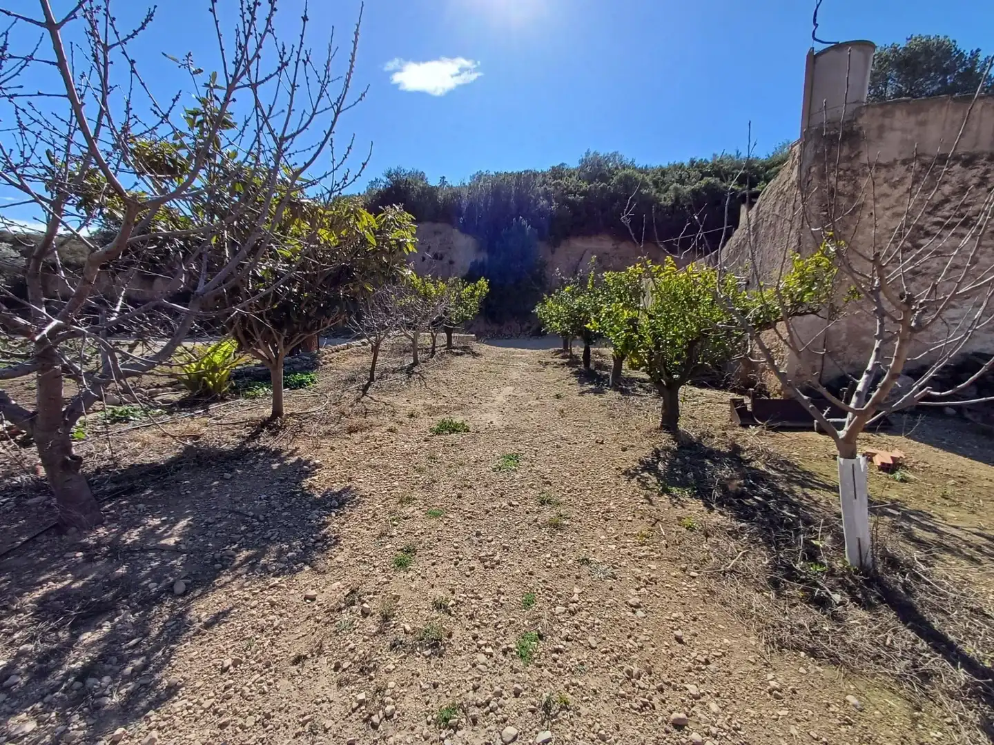Terreno en venta en Tortosa