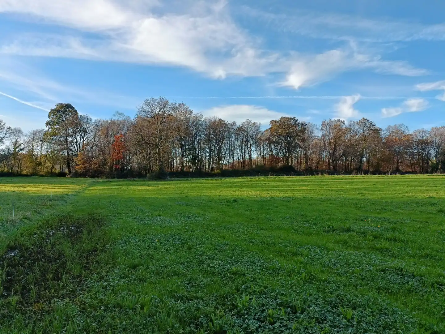 Casa o xalet en venda en Guitiriz amb Jardí privat i Traster