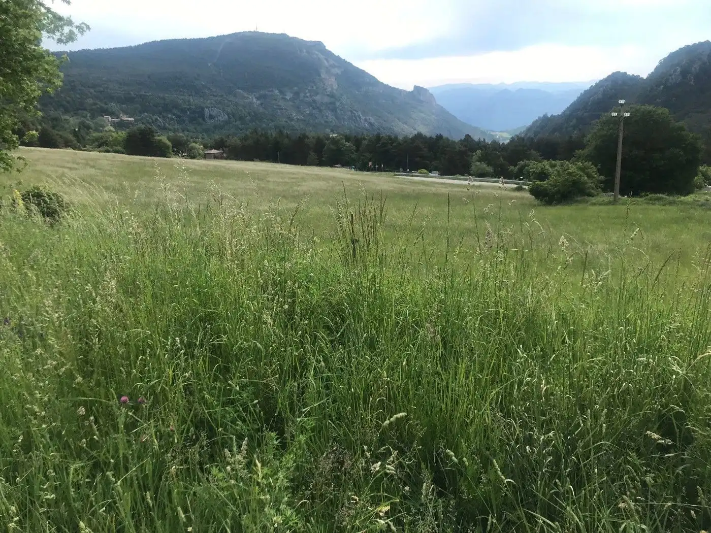 Wohnbaugrundstück zum Verkauf in Berga, imagen 18