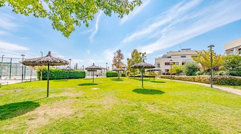 Photo 3 of Planta baja to rent in Aravaca, Madrid