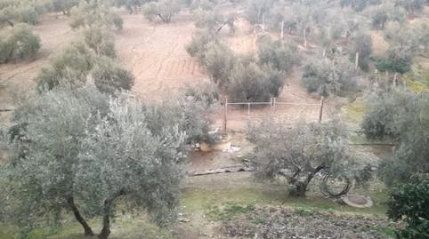 Photo 4 of Industrial buildings for sale in Bujalance, Córdoba