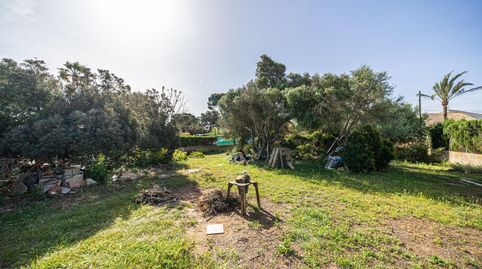 Foto 5 de Residencial en venta en Carrer Pizarro, Badia Blava - Badia Gran - Tolleric, Llucmajor