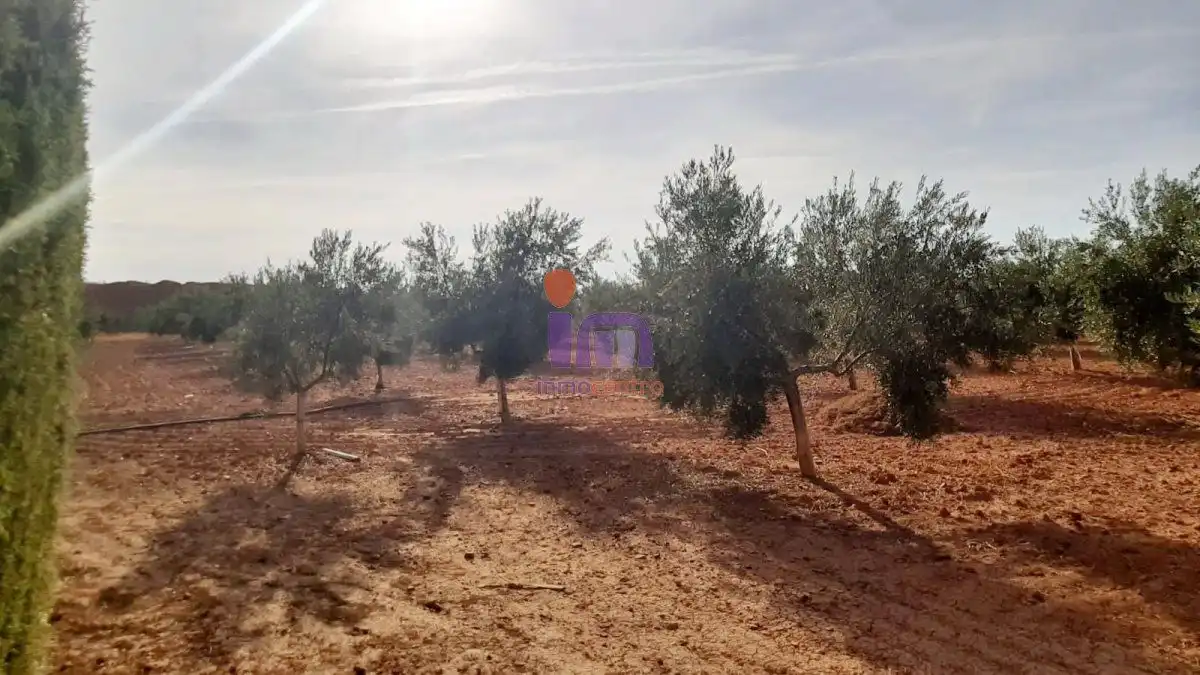 Casa rústica en venda a Valdepeñas, imagen 43