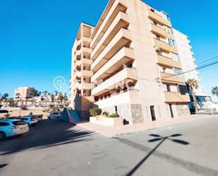 Vista exterior de Apartament en venda en Torrevieja amb Traster