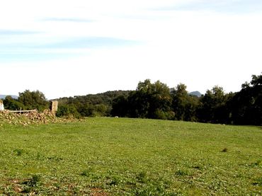 Wohnbaugrundstück zum Verkauf in Cortes de la Frontera