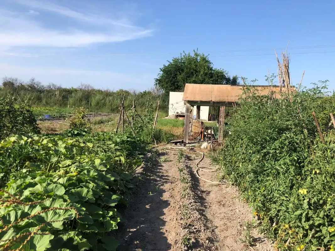 Terreno en venta en Gandia