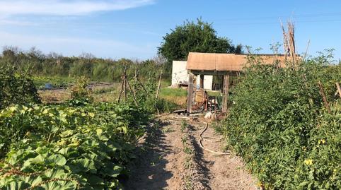 Foto 5 de Terreno en venta en Playa de Gandia, Gandia