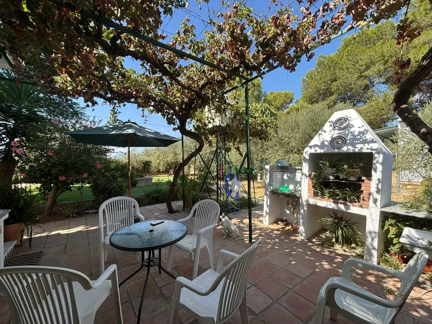 Casa rústica amb piscina en venda a Camino de Los Javieles, imagen 17