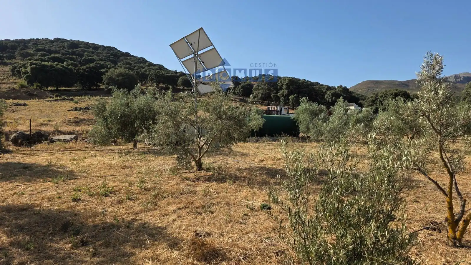 Terreno en venta en Camino Cartajima, carretera de san pedro, Partidas Sur