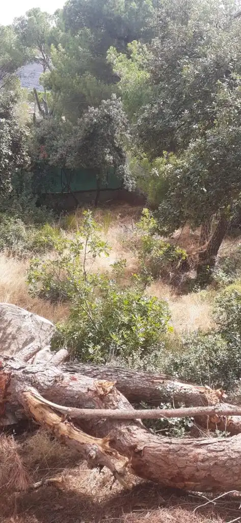 Residencial en venta en Pelayos de la Presa, Madrid