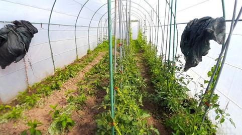 Photo 3 of House or chalet for sale in La Portalada - Varea, La Rioja