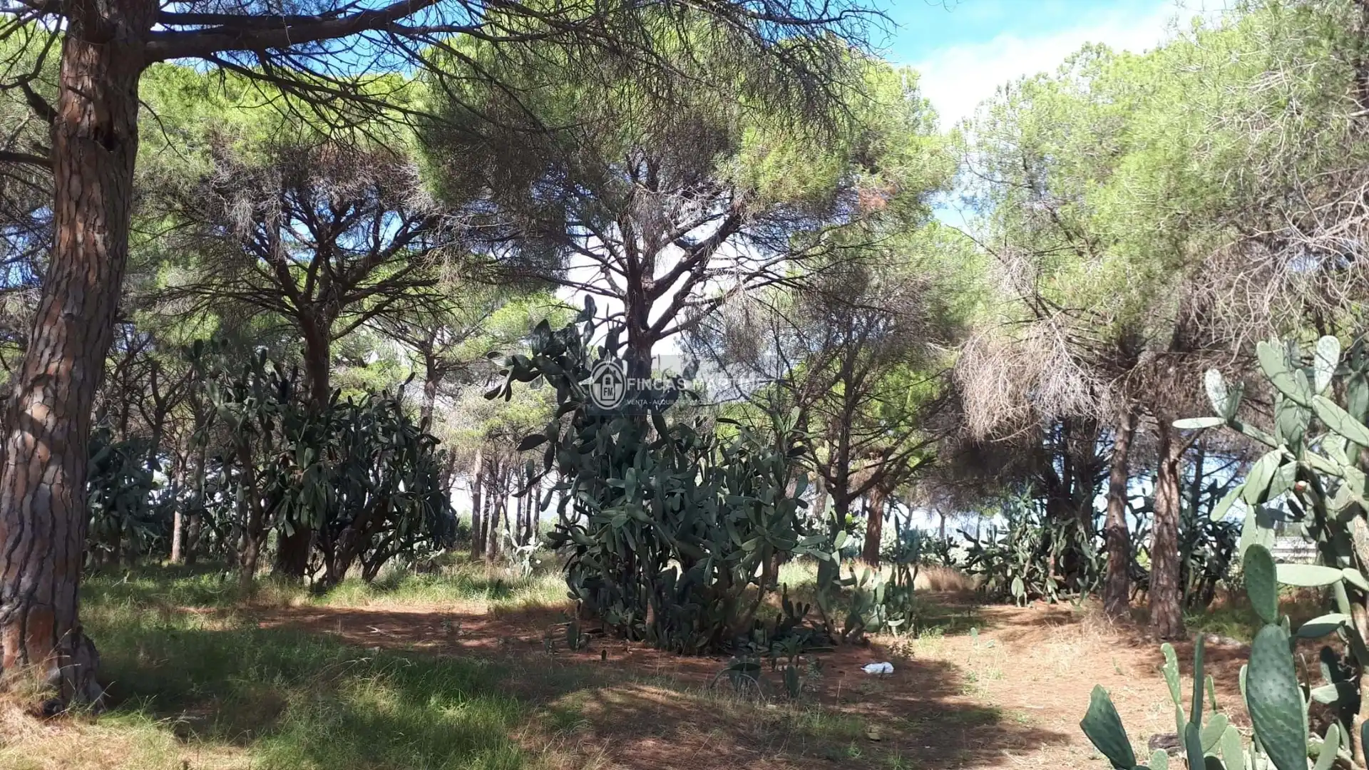 Terrenys i solars en venda a partida guardamá o Emprius  riera de Alforja con carretera del parque samá, imagen 8
