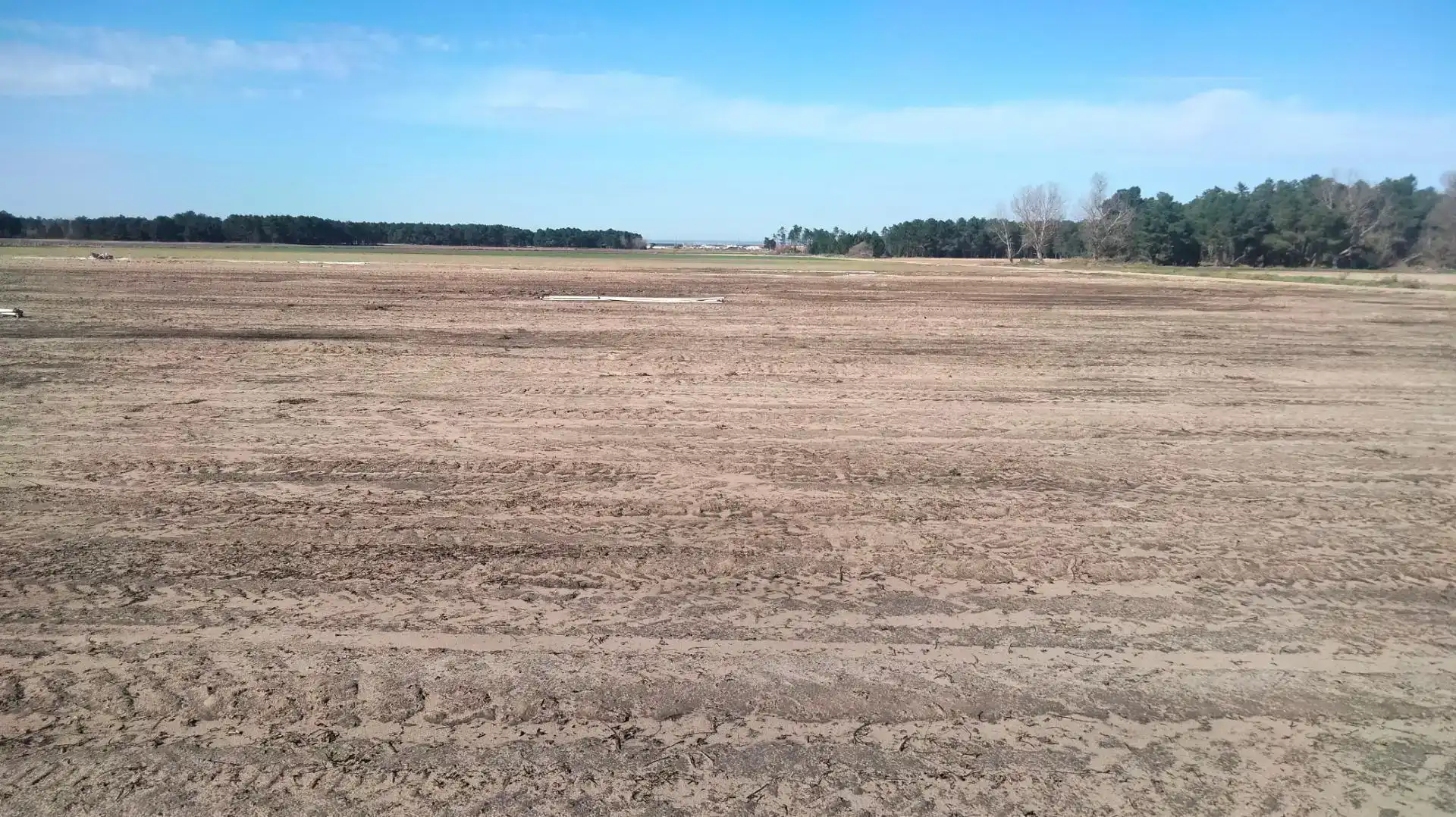 Land for sale in Sanchonuño