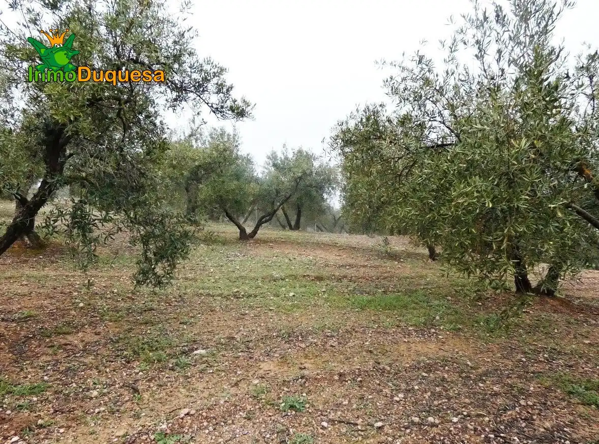 Casa rustica in vendita a Peligros, imagen 16