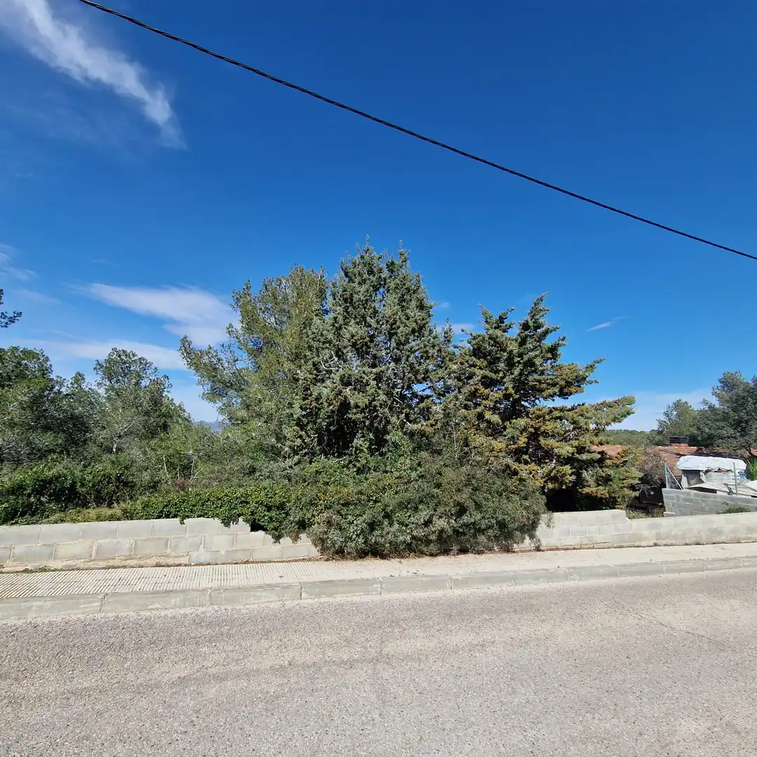 Terreno residencial en venta en Carrer Gessamí 18, imagen 39